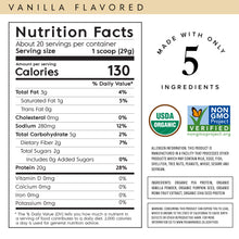 Plant Based Protein Powder